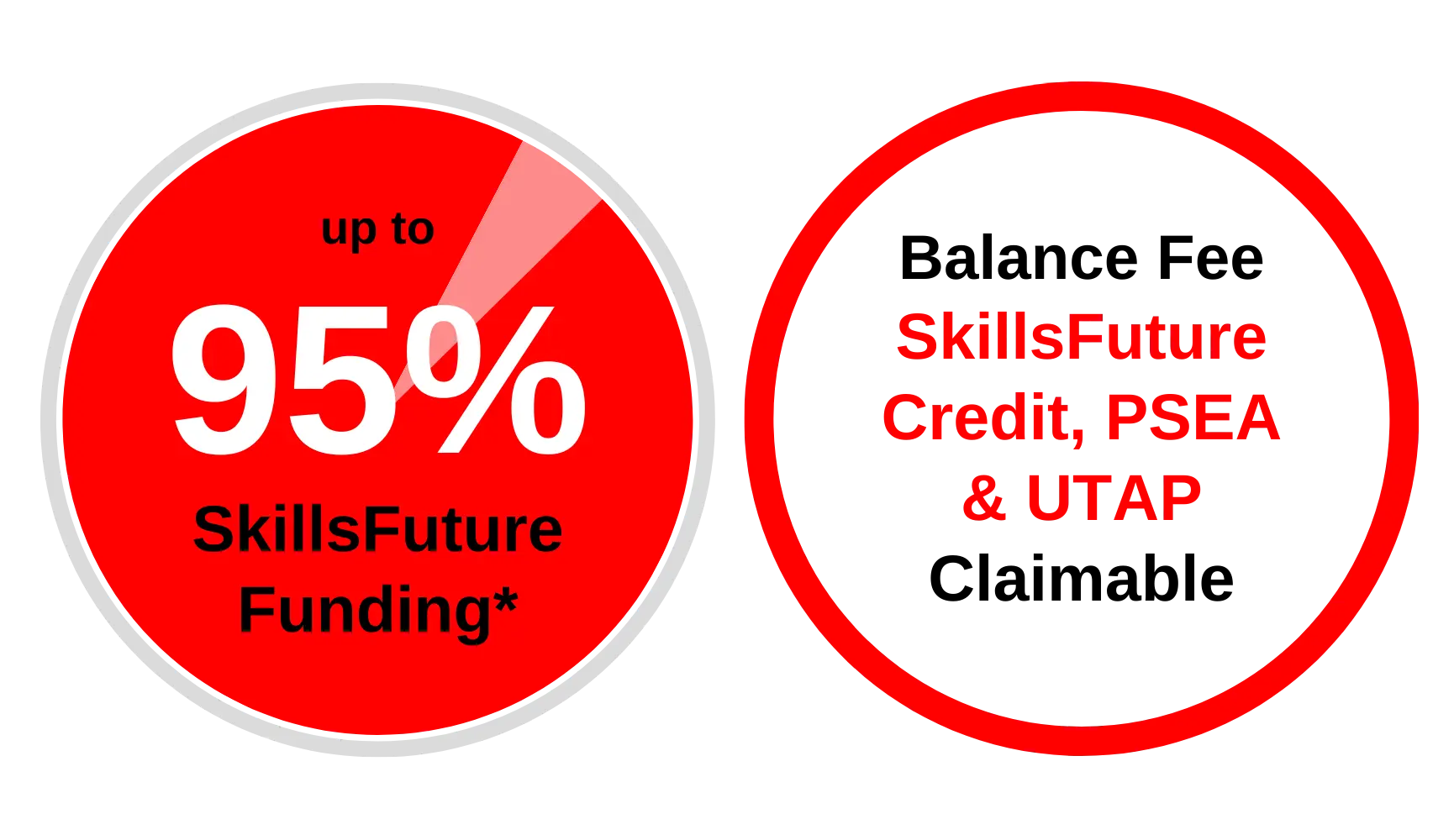 SkillsFuture-Funding-Diagram-95 SkillsFuture Career Transition Programme (SCTP) and Funding Badges