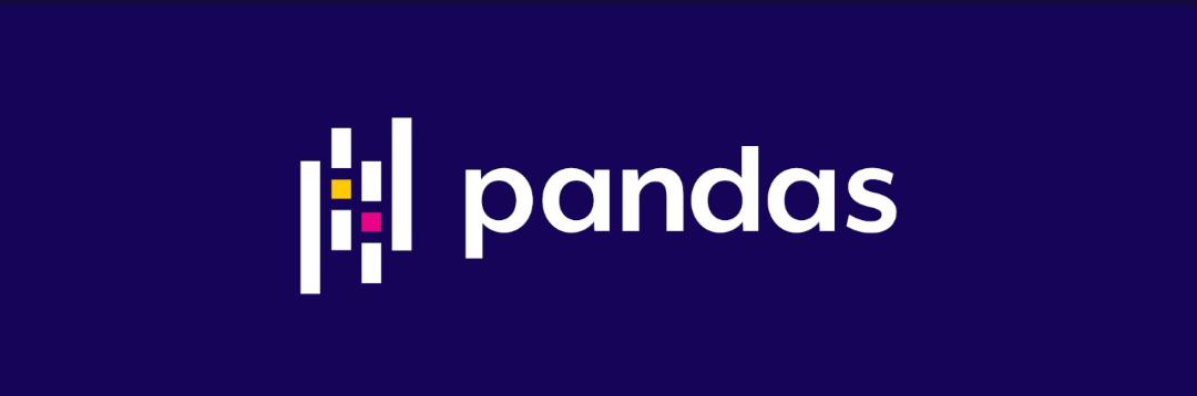 phyton panda logo for data cleaning