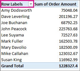 a screenshot of dropdown arrow for sorting in pivottable excel